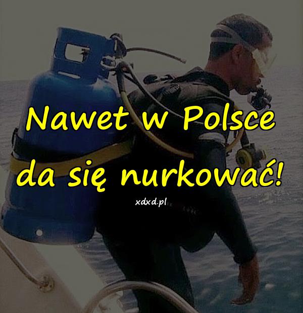 Nawet w Polsce da się nurkować!