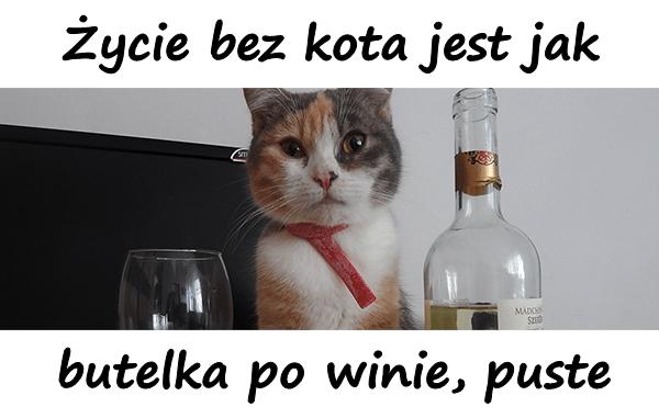 Życie bez kota jest jak butelka po winie, puste.